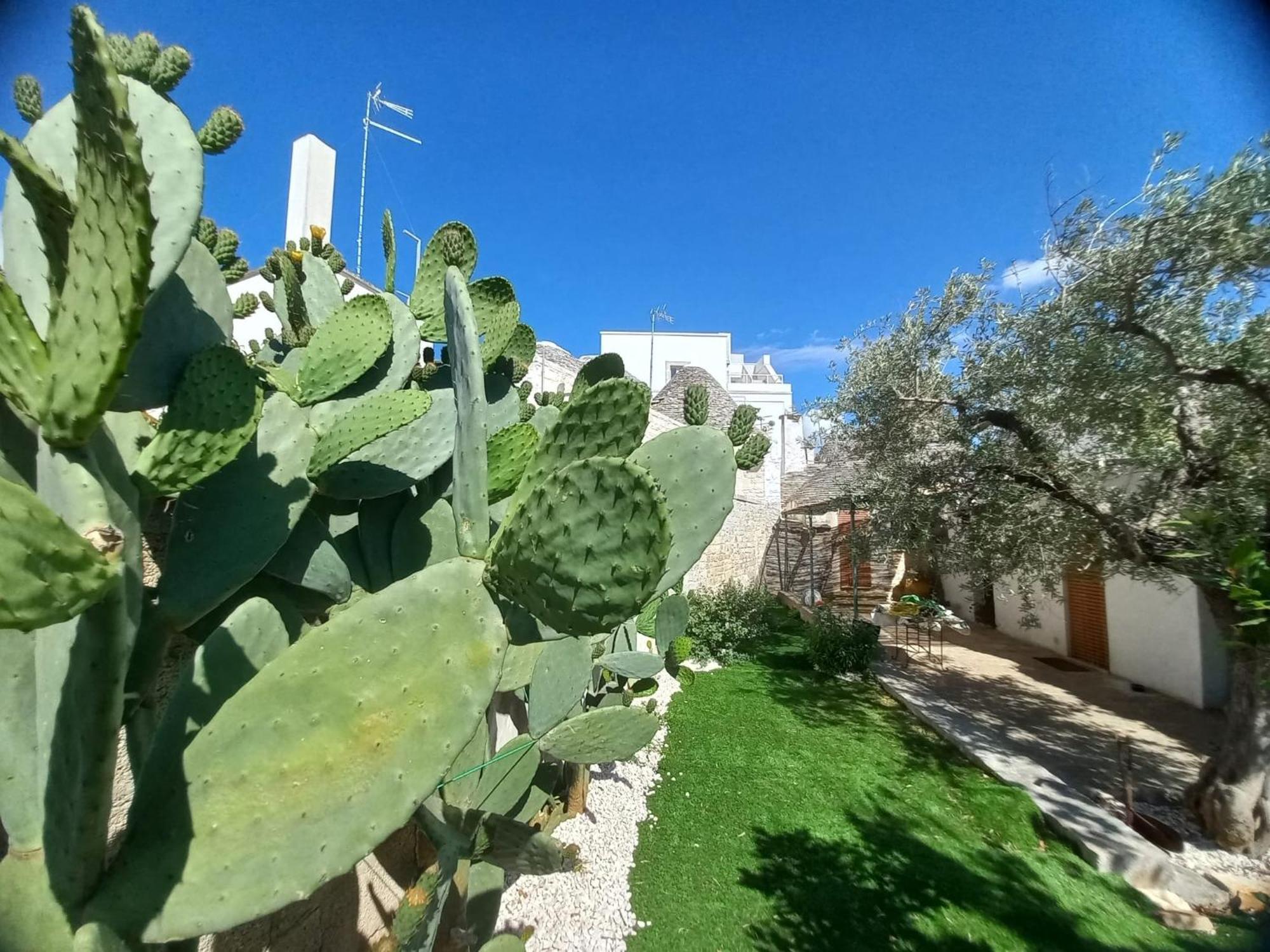Trullo Vacanza Alberobello Cameră foto